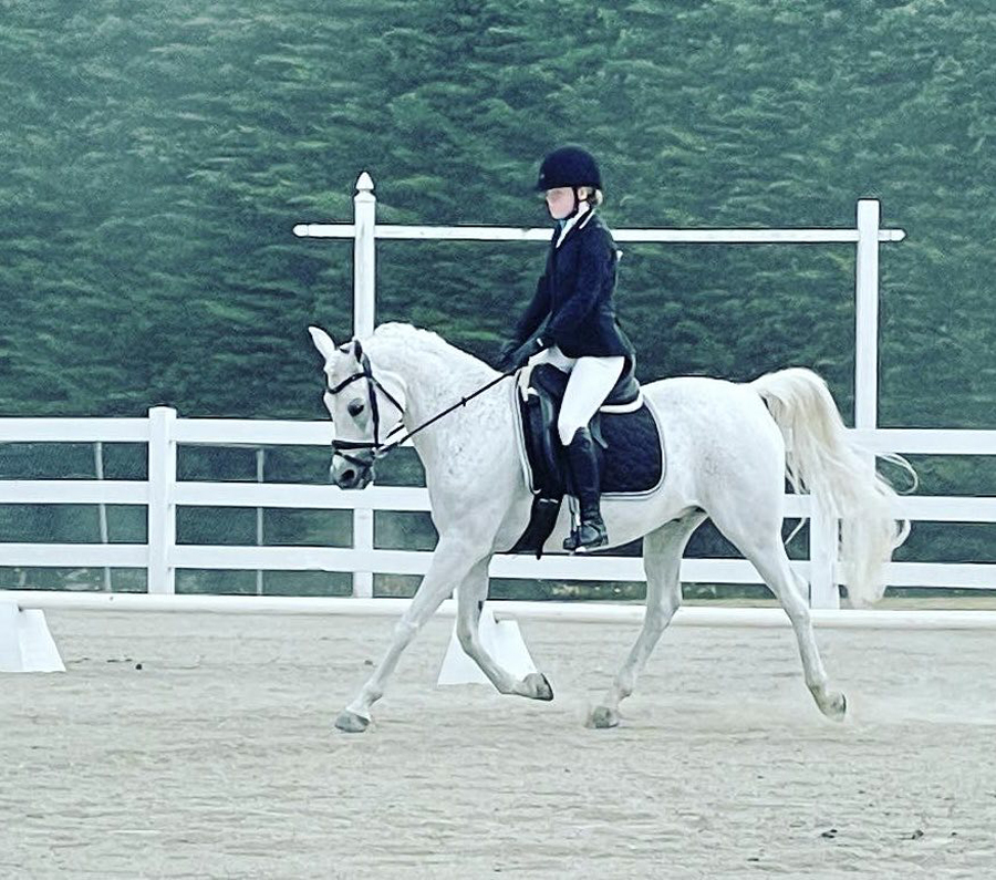 Emma Wellman - Sport Horse Dressage Junior