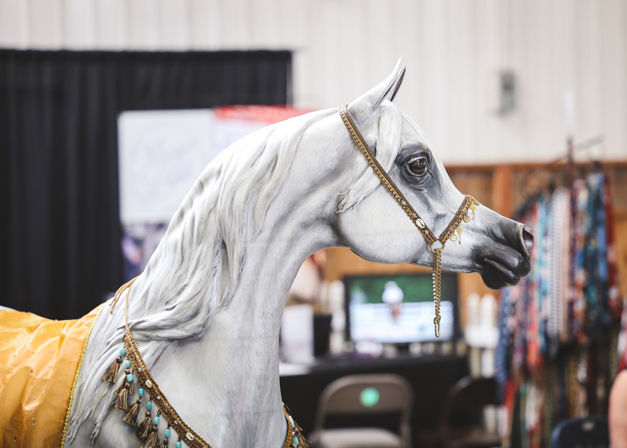 Region 5 - Arabian Horse for Humanity: Benevolence R5