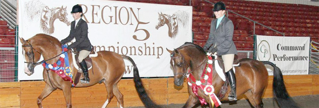 Region5 show champ and reserve trot