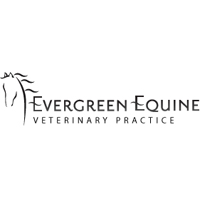 Evegreen Equine Veterinary