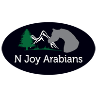 N Joy Arabians