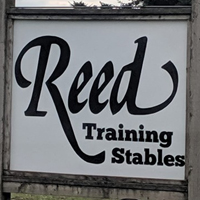 reed training stables