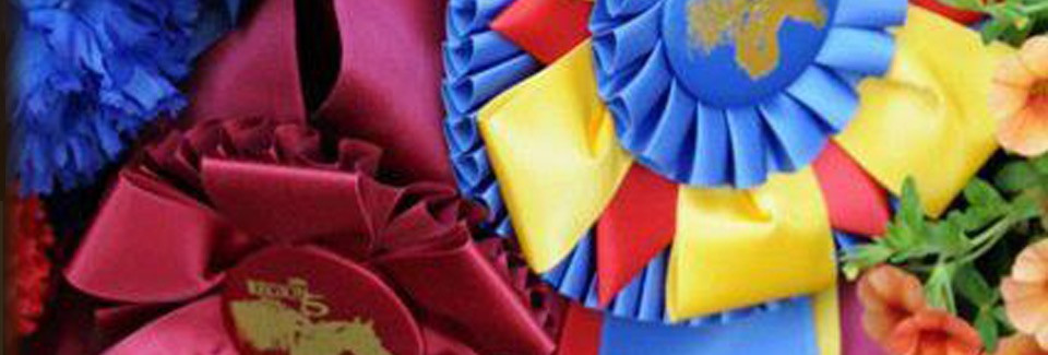 regionv show ribbons
