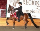 2012region5show gsf mazerati danielle de fountain