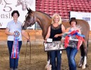 2014 high point adult champ tomi sage