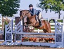 2020 region5 year end high point winner tenn sanders sport horse hunter junior