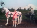 2020 region5 year end high point winner tim wigren carriage driving