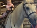 baby on grey horse