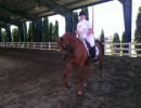 region5show dressage warmup