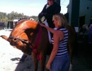 region5show hunter champ lookingat ribbon
