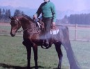 ted friesz and gai gaillzon14